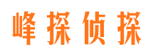 乐安市婚外情调查